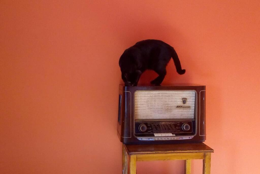 Casa Da Oliveira Daire Milhão Dış mekan fotoğraf